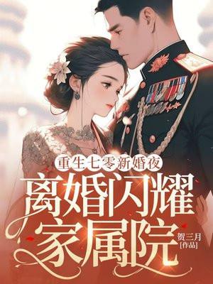 七零新婚夜，麻烦首长离个婚！